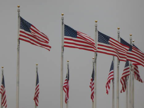 Washington D.C. - Wapperende vlaggen