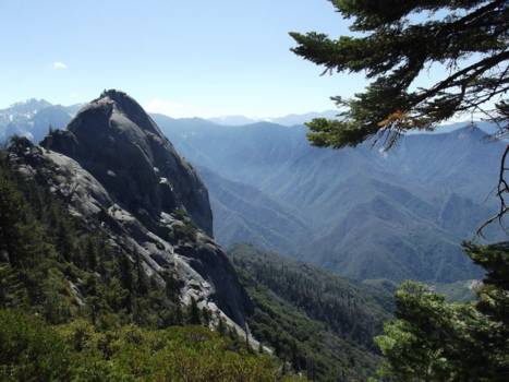 Sequoia en Kings Canyon National Park
