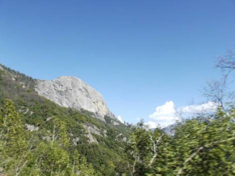 Sequoia en Kings Canyon National Park