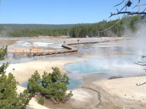 Yellowstone National Park - Yellowstone 2015