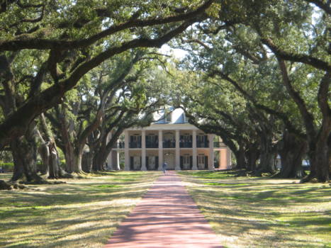 Louisiana - Plantage Oak Alley