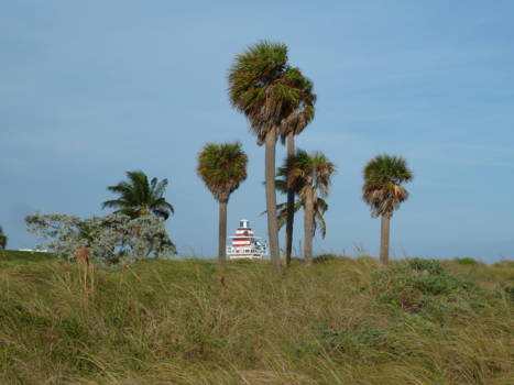 Miami Beach - South Pointe Park