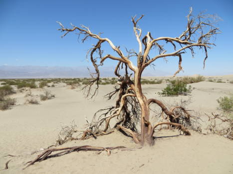 Death Valley National Park