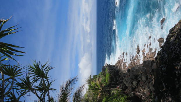 Hawaii - Kustlijn van The Big Island