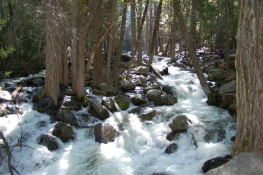 California - Yosemite N.P.