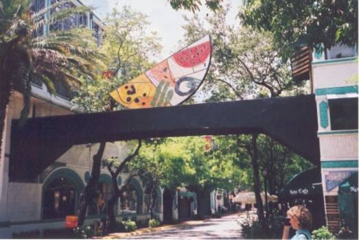 Miami - Coconut Grove, Florida