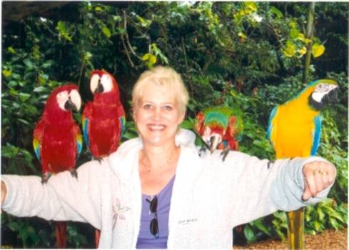 Miami - Parrot Jungle Miami