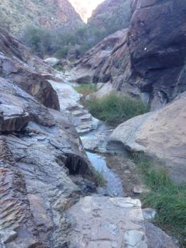 Big Bend National Park - Window Trail