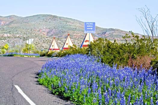 Big Bend National Park