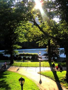 New York - Central park