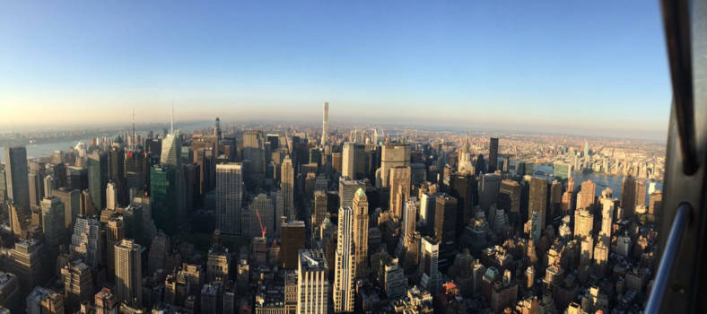 New York - Concrete Jungle