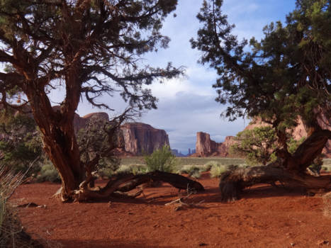 Colorado - Bijzonder mooi doorkijkje