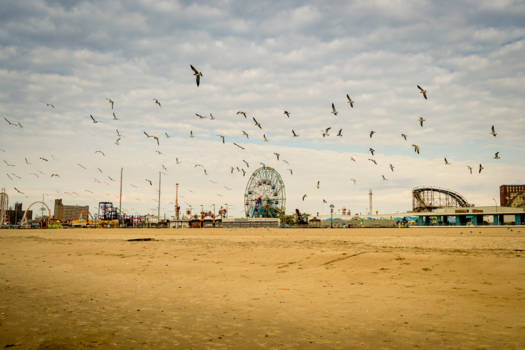 New York - coney island in the fall