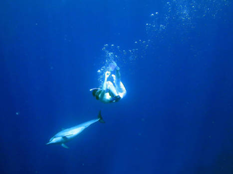 Big Island (Hawaii) - Snorkeling with wild spinner dolphin, Kailua-Kona Hawaï