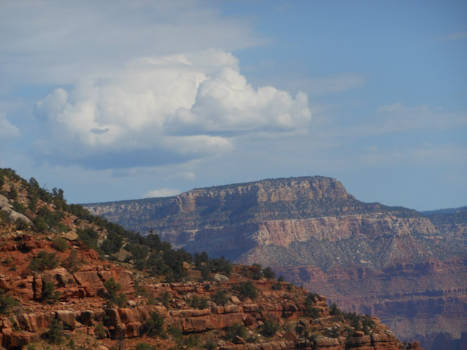 Grand Canyon National Park - A view like this, will never get you down