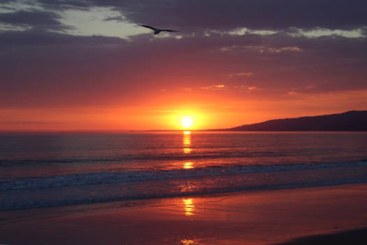 Los Angeles - Californian sunsets