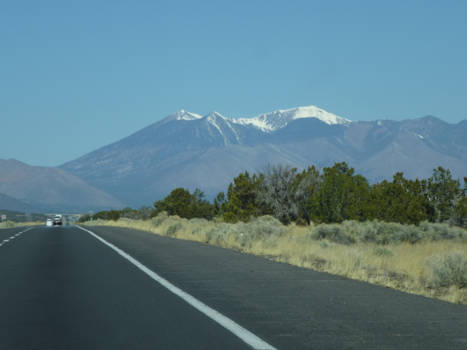 Texas - what ever....in Texas!