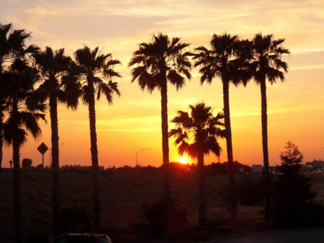 California - Ons eigen 'Hotel California'