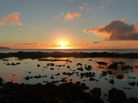 Oahu - Sunset shark cove