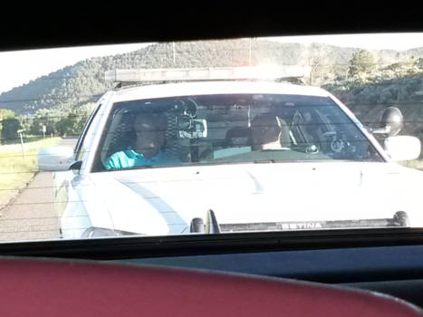 Los Angeles - Busted