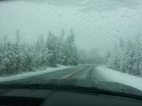 Yellowstone National Park - Roadtrip in september door yellowstone national park........