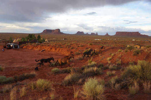 Utah - Niet in mijn achtertuin!