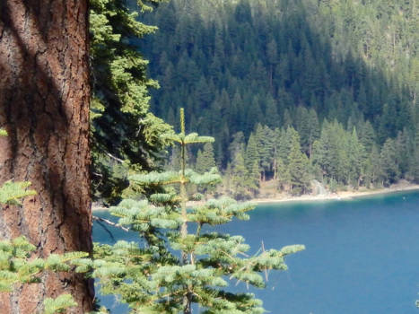 Lake Tahoe - Vieuw over Lake Tahoe