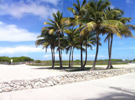 South Beach - No words needed