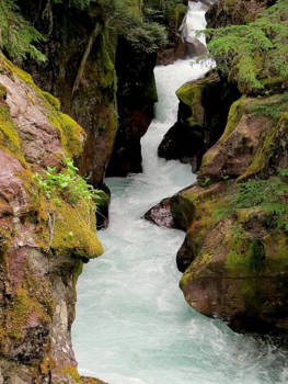 Glacier National Park - Avalance Fall bij Apgar