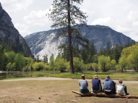 Yosemite National Park - Mier in een grote wereld