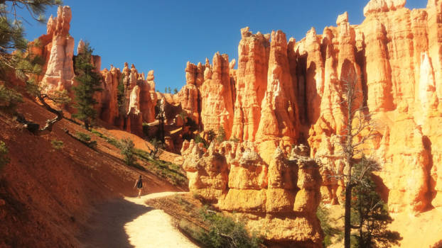 Bryce Canyon National Park - “I am not the same, having seen the moon shine on the other side of the world.”