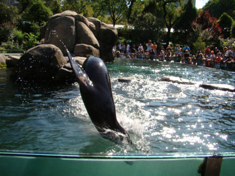 Central Park - Heb ik vaker gedaan.