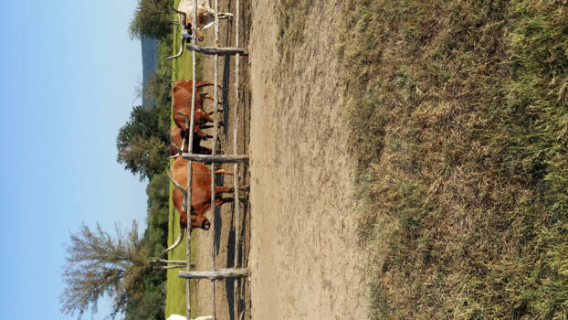 Texas - Wildcatter Ranch Graham Texas