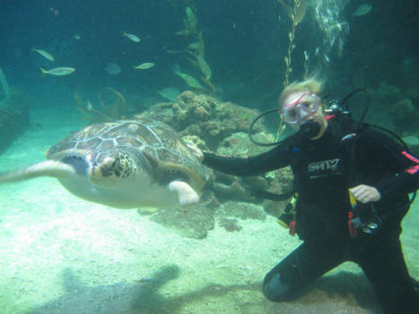 San Francisco - Myrtle, mijn beste vriendin, in Manly Sealife