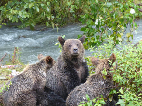 Alaska - Wakker worden jongens.....Kodakmoment!! zit mijn haar goed?