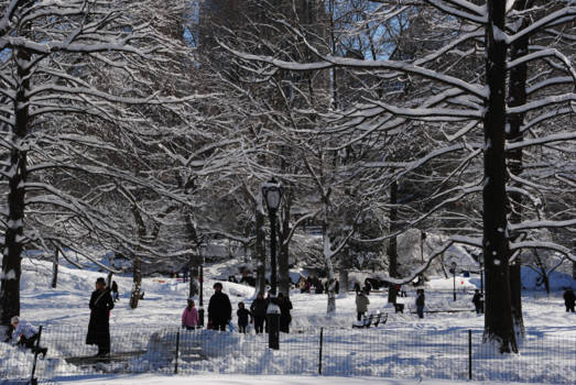 Central Park - Winter Wonderland in Central Park, New York City!