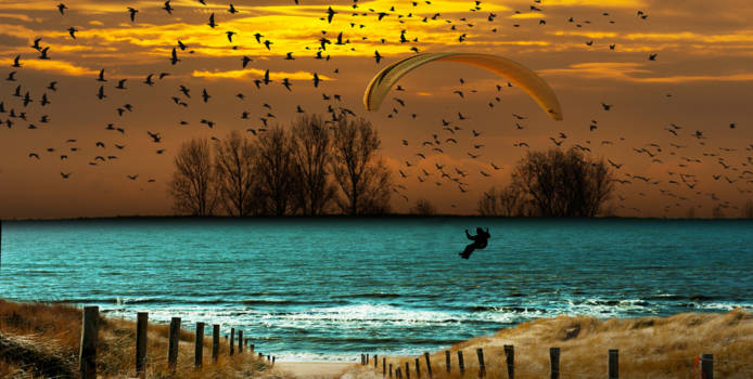 Los Angeles - Los Angels en the sky