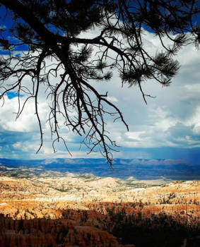 Bryce Canyon National Park - Bryce is sooo nice!!!