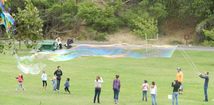 California - Zeepbel extreem