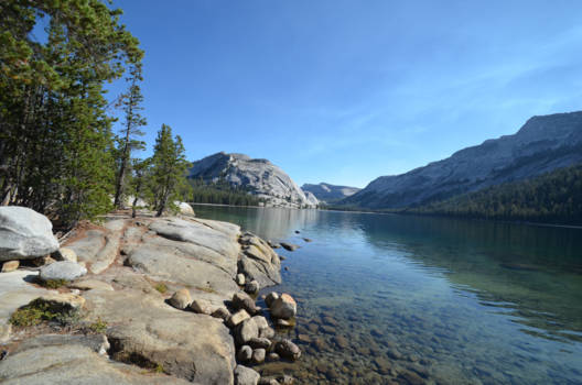 Yosemite National Park - On the beautiful Tioga Road in Yosemite