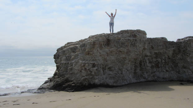 American Museum of Natural History - Langs de highway 1 op weg naar San Francisco