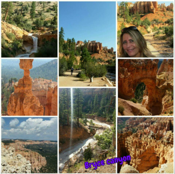 American Museum of Natural History - Bryce canyon