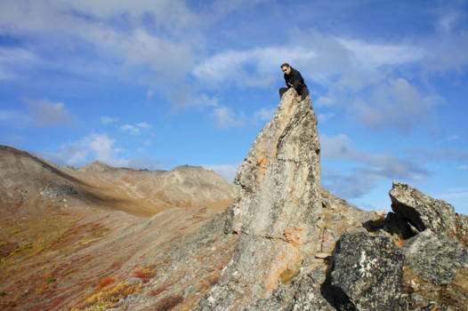 Denali National Park - On Top of the World