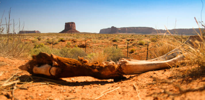 Arizona - Monument Valley
