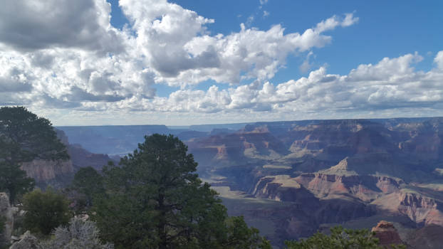 Grand Canyon National Park - grand canyon