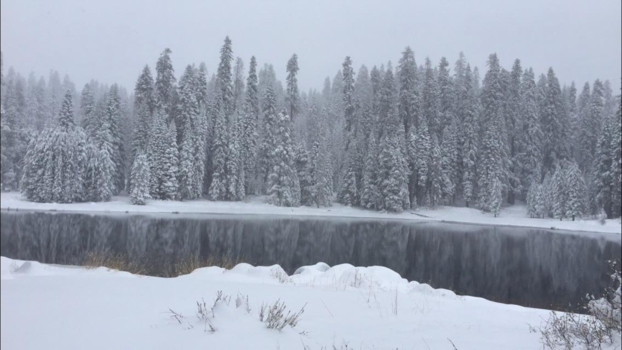 Sequoia en Kings Canyon National Park - Atmosferisch verschijnsel