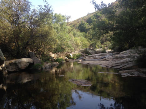 Columbia - Into nature