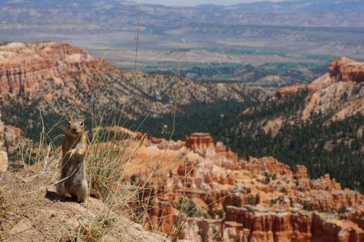 Bryce Canyon National Park - Bryce Canyon