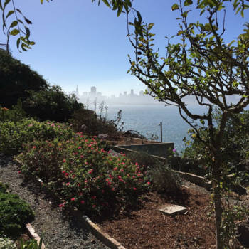 California - View from Alcatraz