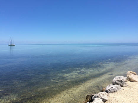 Florida Keys - Sereen
